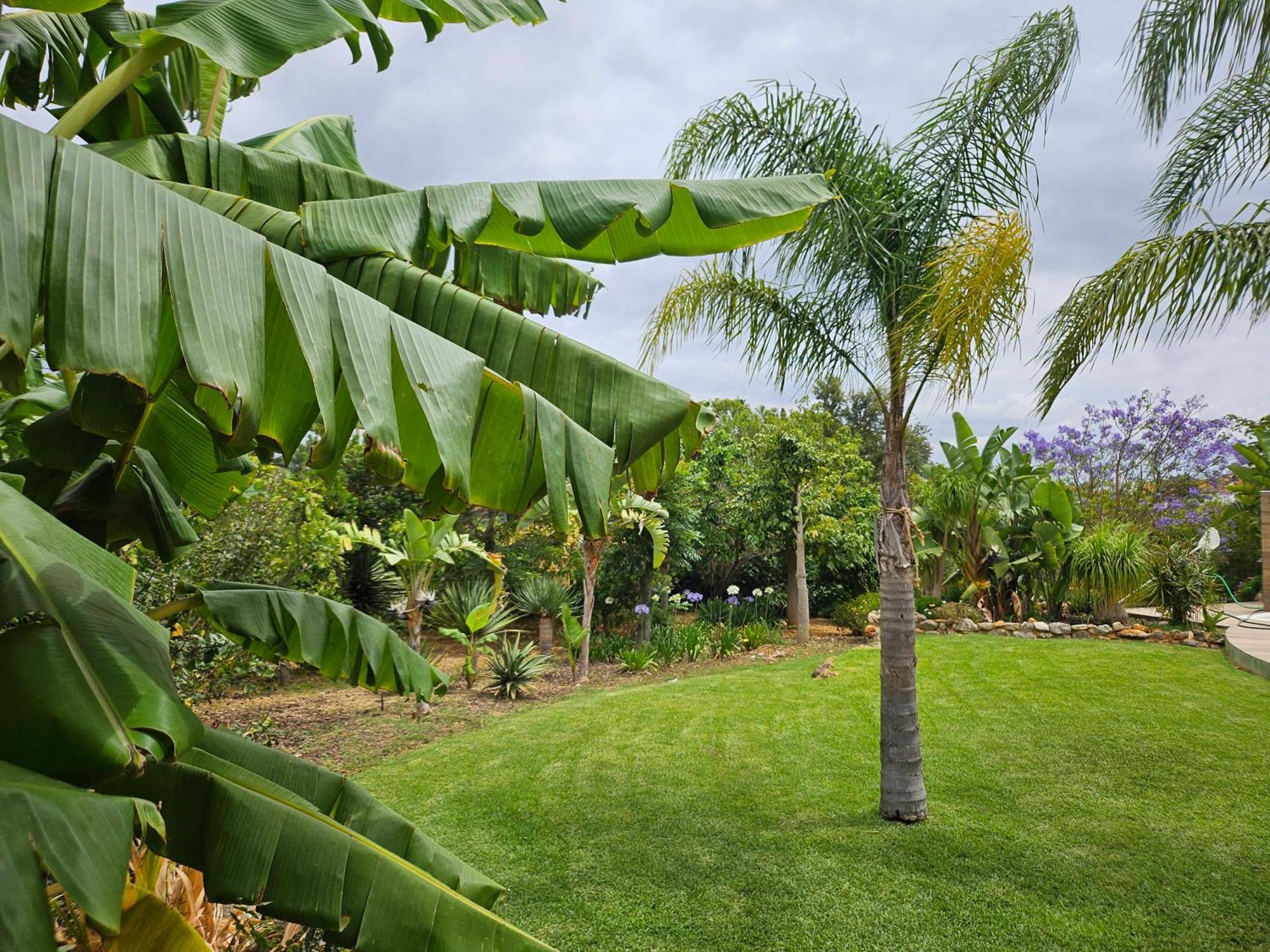 Vila Das Petalas By Atlantichotels ปอร์ติเมา ภายนอก รูปภาพ